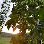 Hopfenerlebnishof *