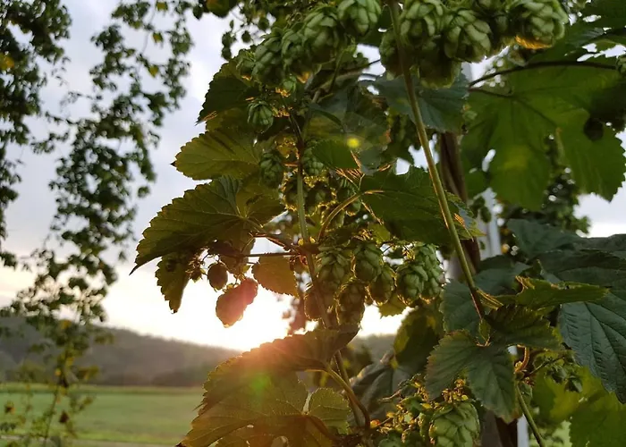 Hopfenerlebnishof *